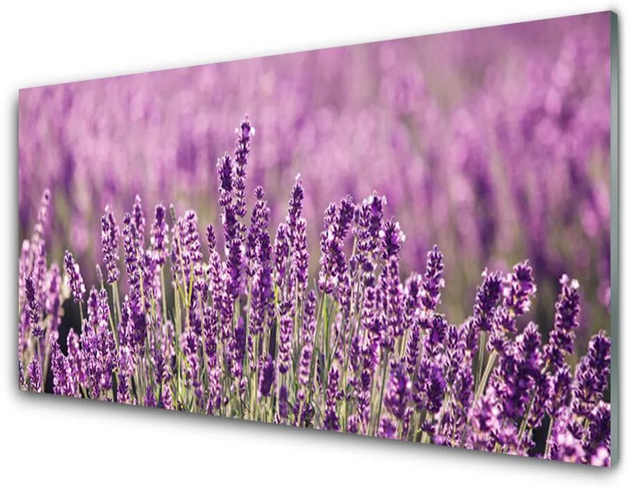 Obraz plexi Kvety rastlina príroda 120x60cm
