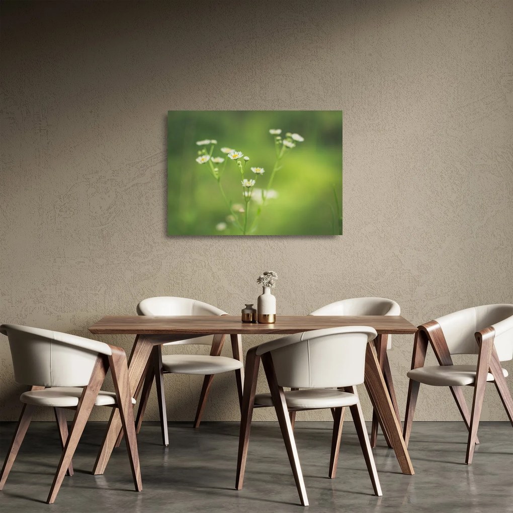 Sklenený obraz Sedmokrásky (70x50 cm)