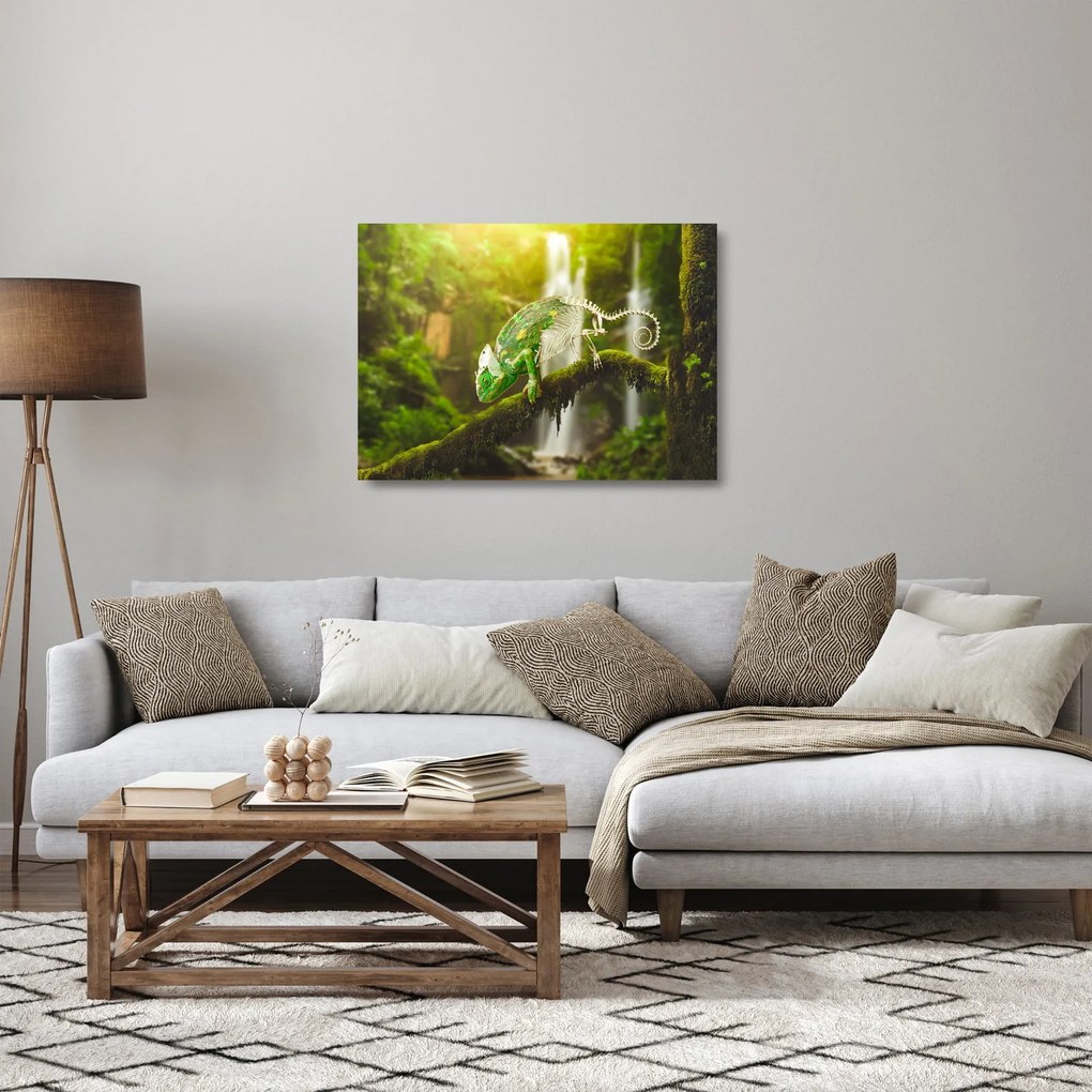 Sklenený obraz chameleóna (70x50 cm)