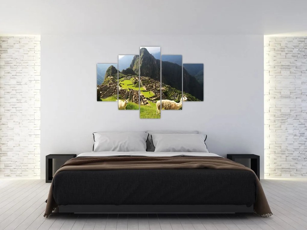 Obraz - Lamy v Machu Picchu (150x105 cm)