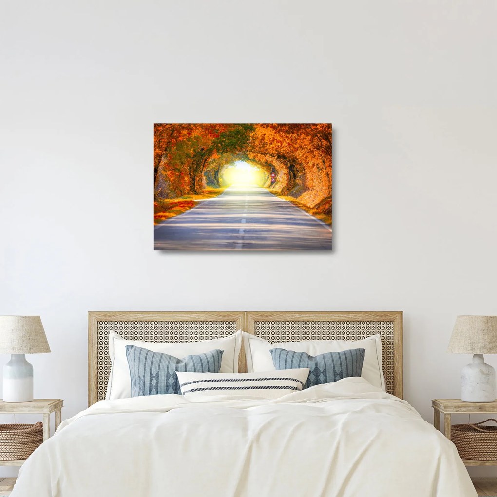 Sklenený obraz - Brána z korún stromov (70x50 cm)