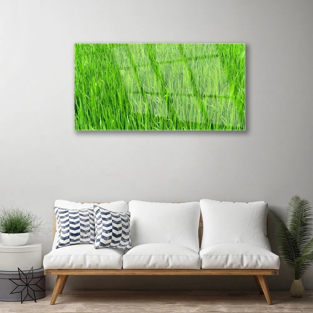 Skleneny obraz Zelená tráva príroda trávnik 120x60 cm