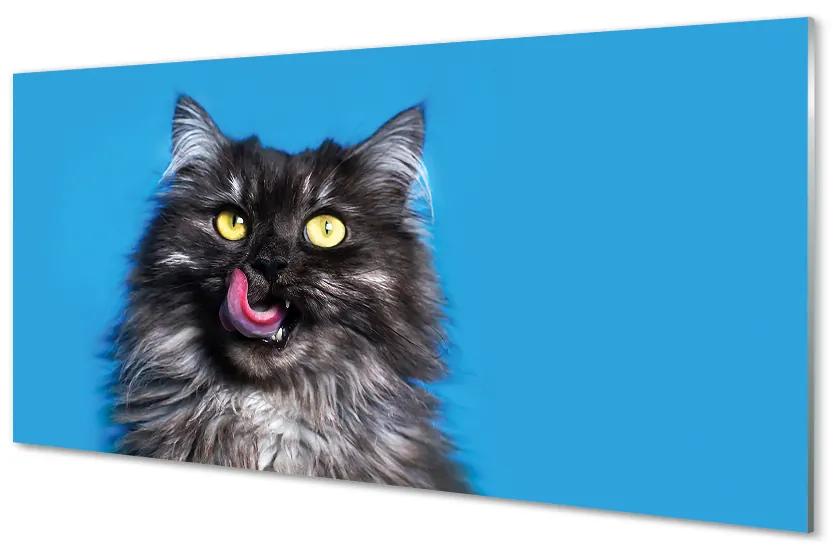 Sklenený obraz Oblizujący mačka 100x50 cm