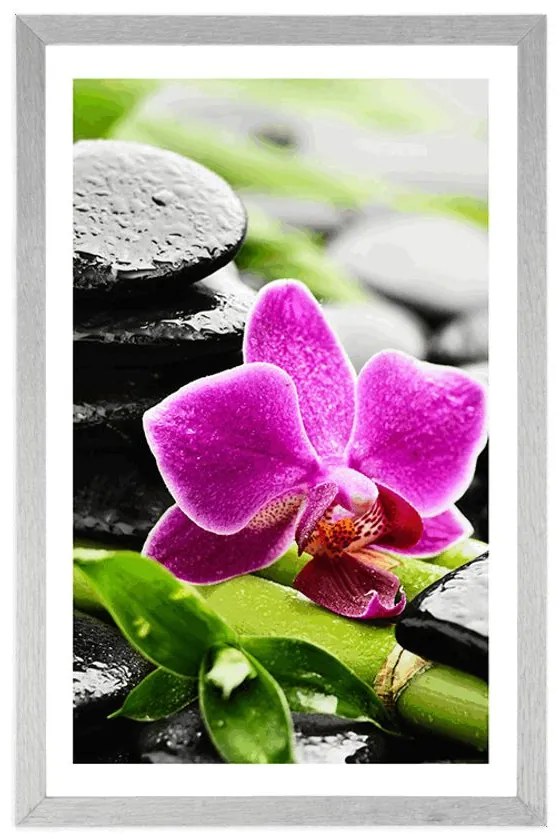 Plagát s paspartou wellness zátišie s fialovou orchideou - 40x60 white