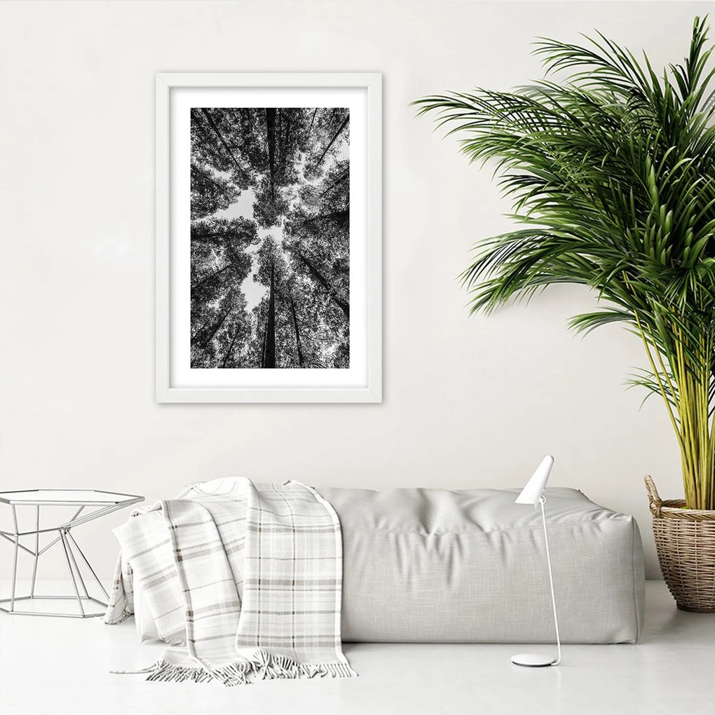 Gario Plagát Koruny stromov Farba rámu: Bez rámu, Rozmery: 30 x 45 cm