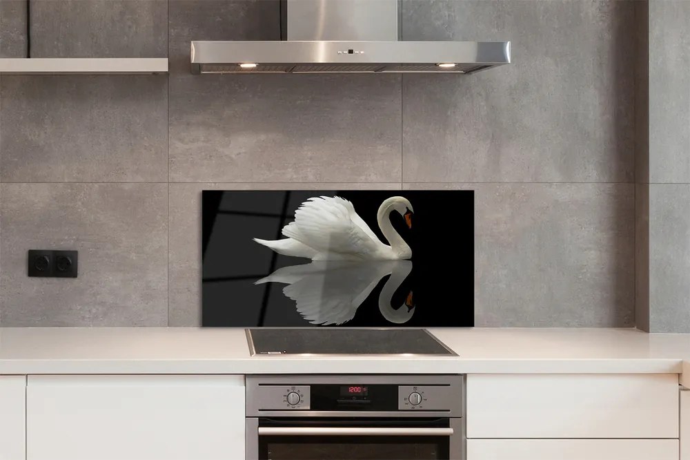 Nástenný panel  Swan v noci 100x50 cm