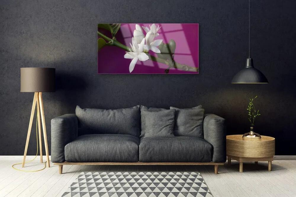 Obraz plexi Kvety úhonky príroda 100x50 cm