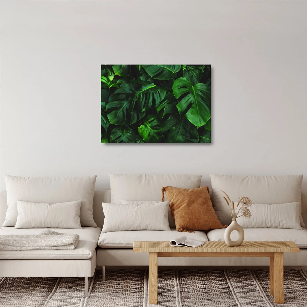 Sklenený obraz listov Monstery (70x50 cm)