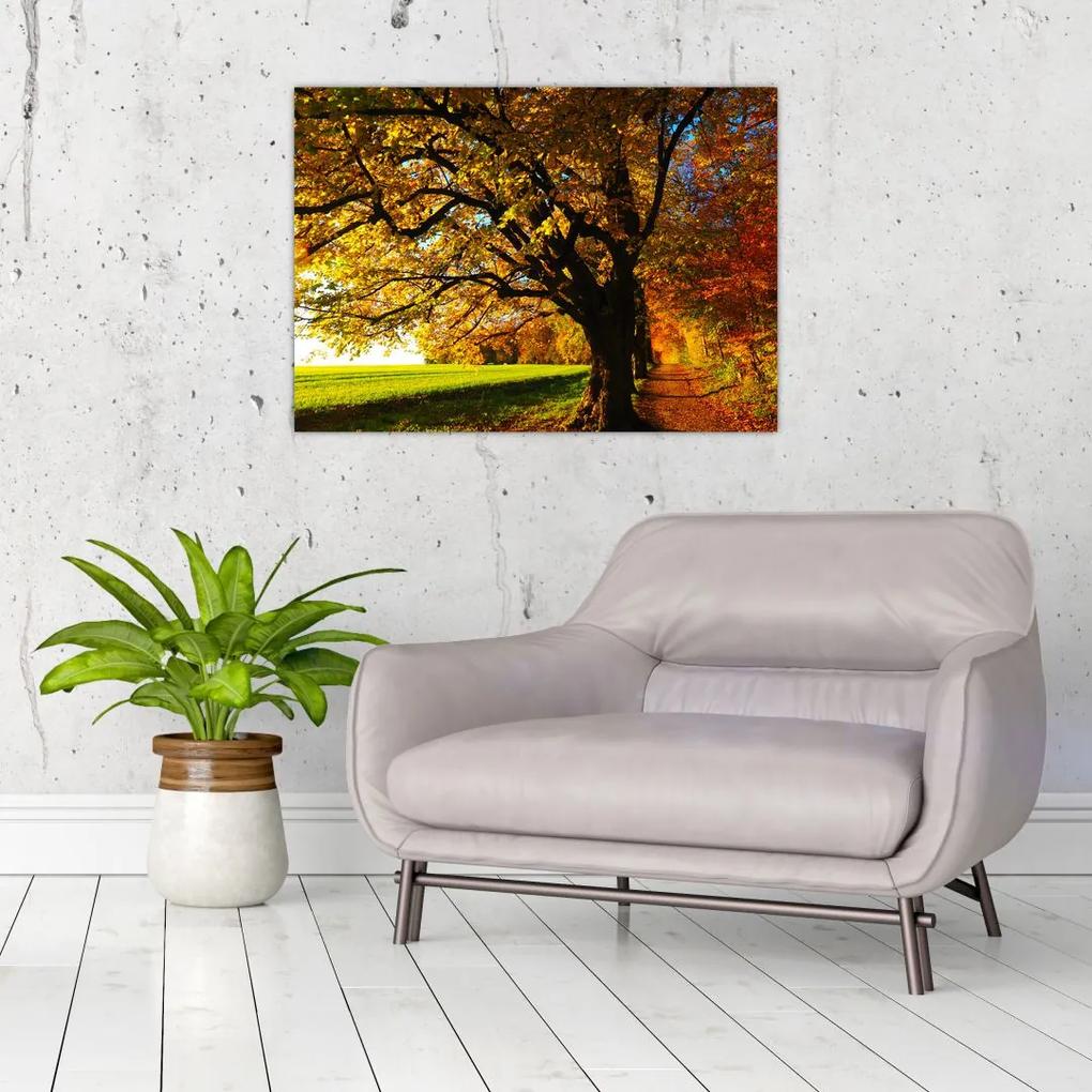 Obraz jesenného stromu (70x50 cm)