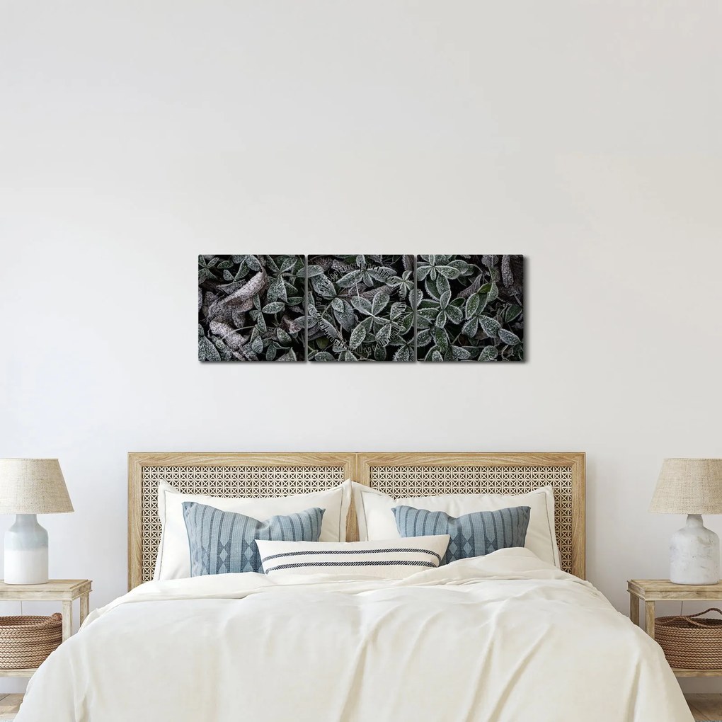 Obraz - Zamrznuté rastliny (s hodinami) (90x30 cm)