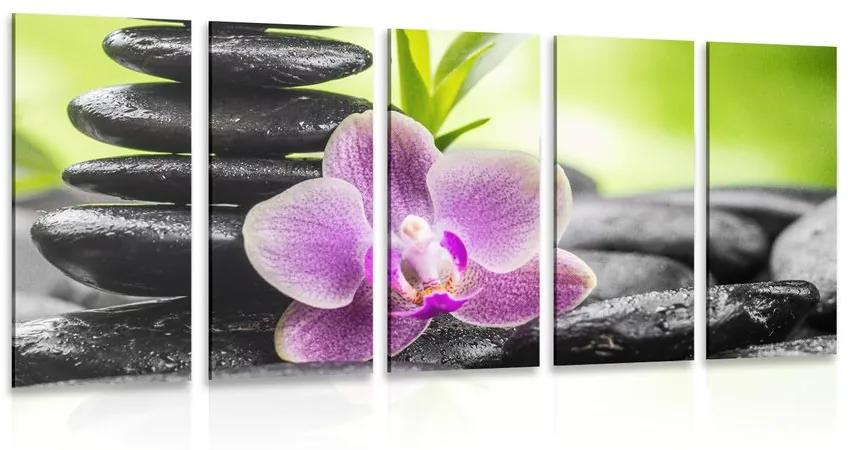 5-dielny obraz tropická Zen kompozícia Varianta: 100x50