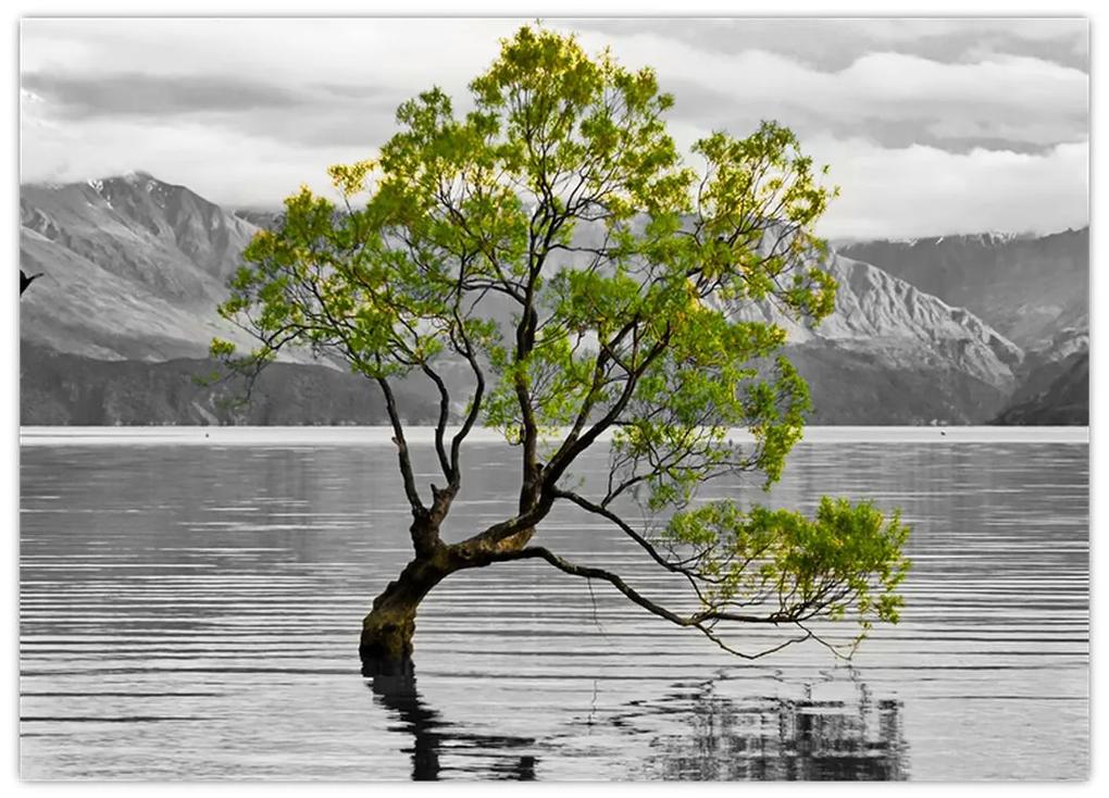 Sklenený obraz stromu uprostred jazera (70x50 cm)