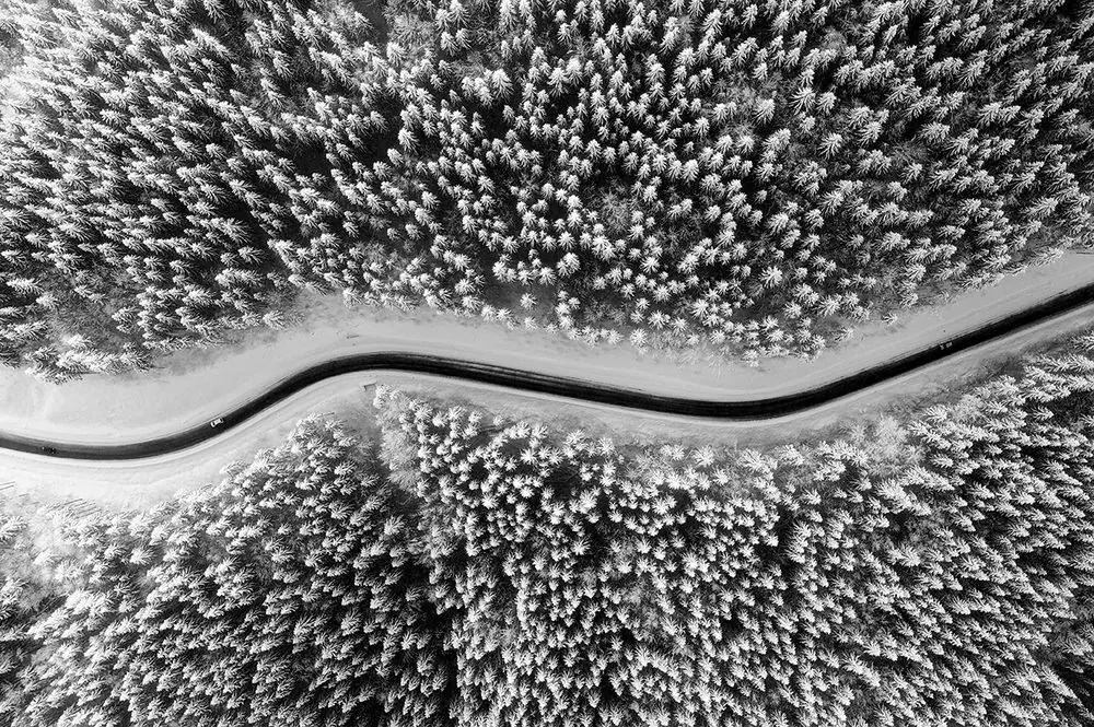 Samolepiaca fototapeta pohľad na zimnú čiernobielu krajinu - 150x100