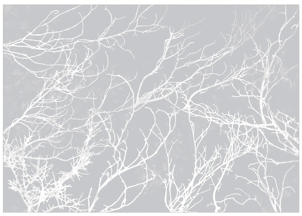 Artgeist Fototapeta - White Trees Veľkosť: 100x70, Verzia: Standard