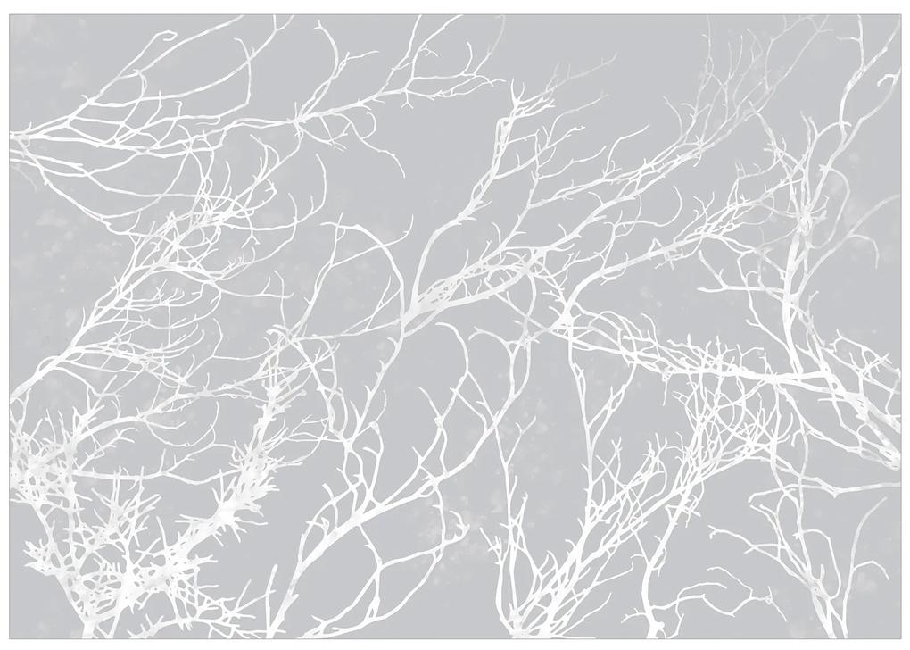 Artgeist Fototapeta - White Trees Veľkosť: 196x140, Verzia: Samolepiaca