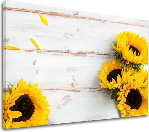 Obraz na stenu ŽLTÉ KVETY_160-11