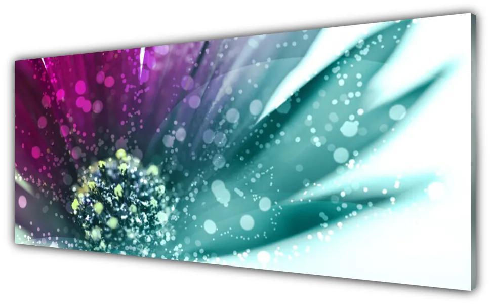 Obraz na akrylátovom skle Kvet rastlina príroda umenie 125x50 cm