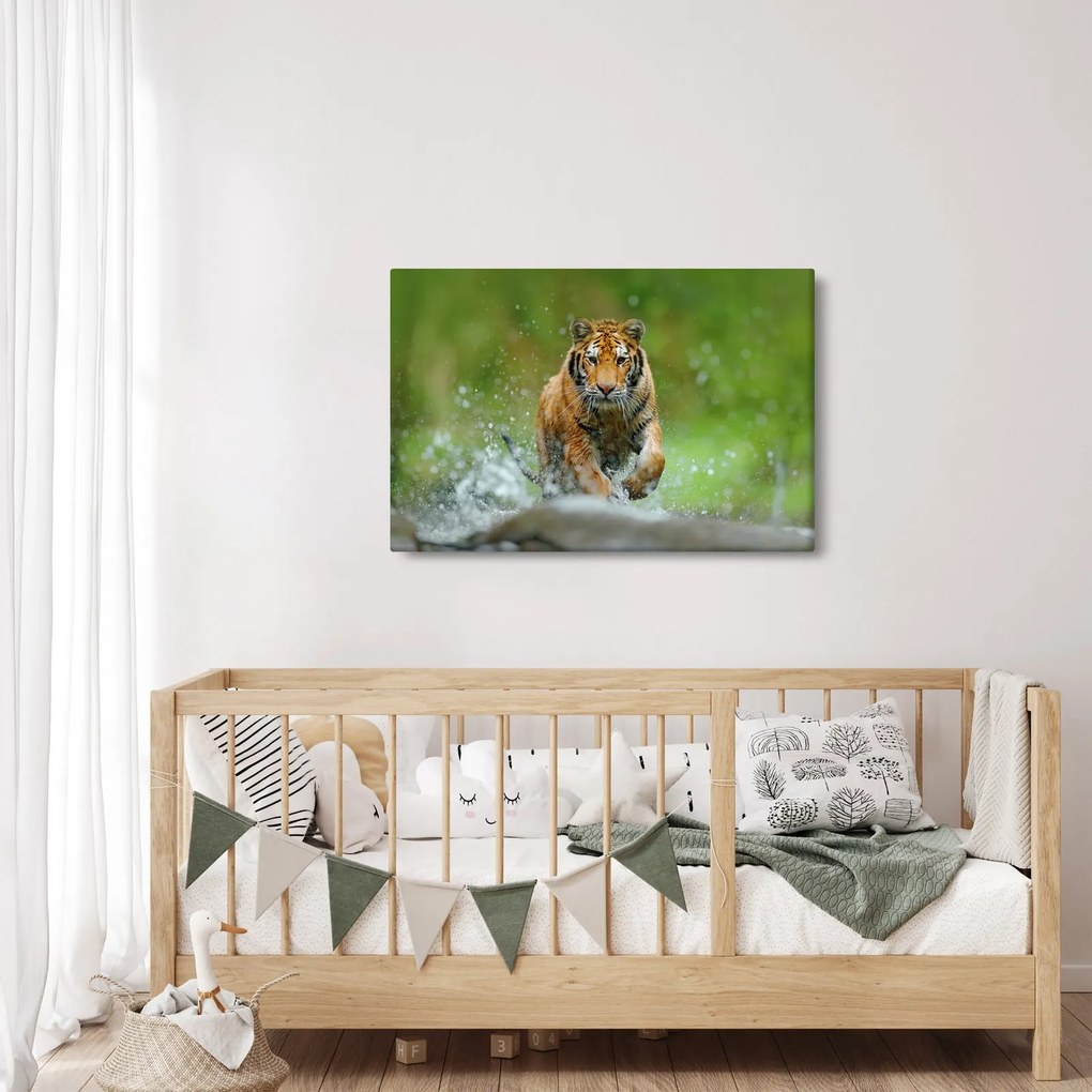 Obraz - Bežiaci tiger (90x60 cm)