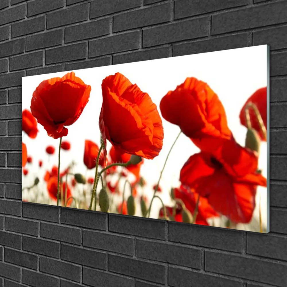Obraz na skle Tulipány kvety 125x50 cm