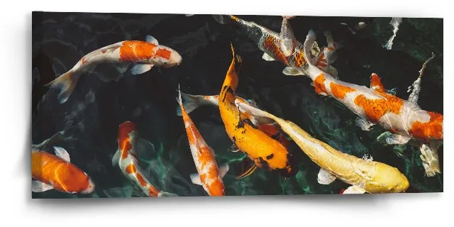 Sablio Obraz Ryby - 110x50 cm