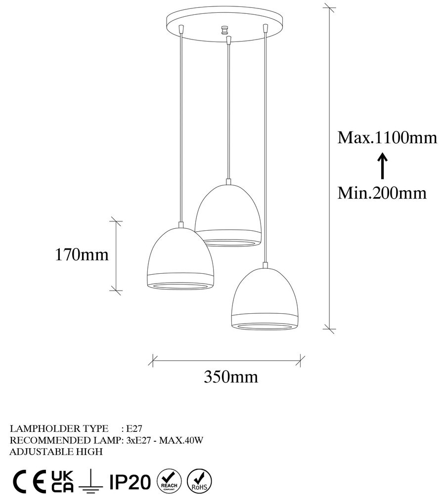 Mugo - 10670