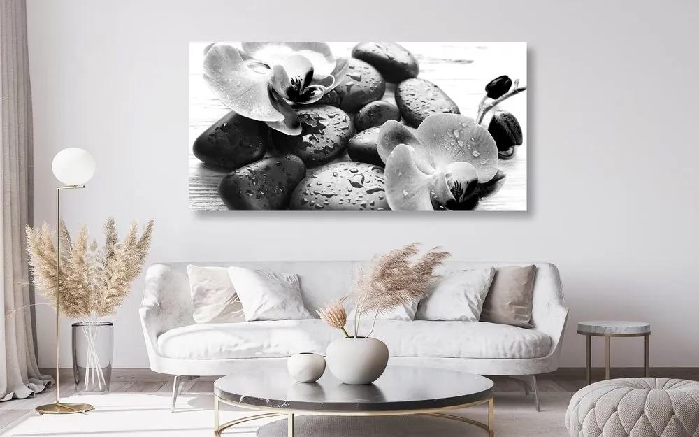 Obraz kúzelná súhra kameňov a orchidey v čiernobielom prevedení - 100x50