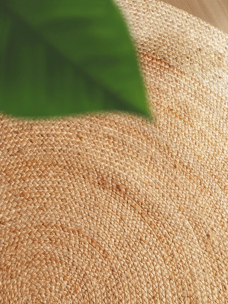 Hanse Home, Kusový koberec Jutta 106226 Natur Gold/Ivory kruh, 240x240 (priemer) kruh, béžová, chodba / predsieň