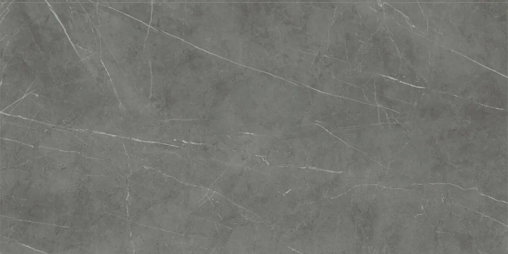 Dlažba Tessino Grey Natural 60x120 R