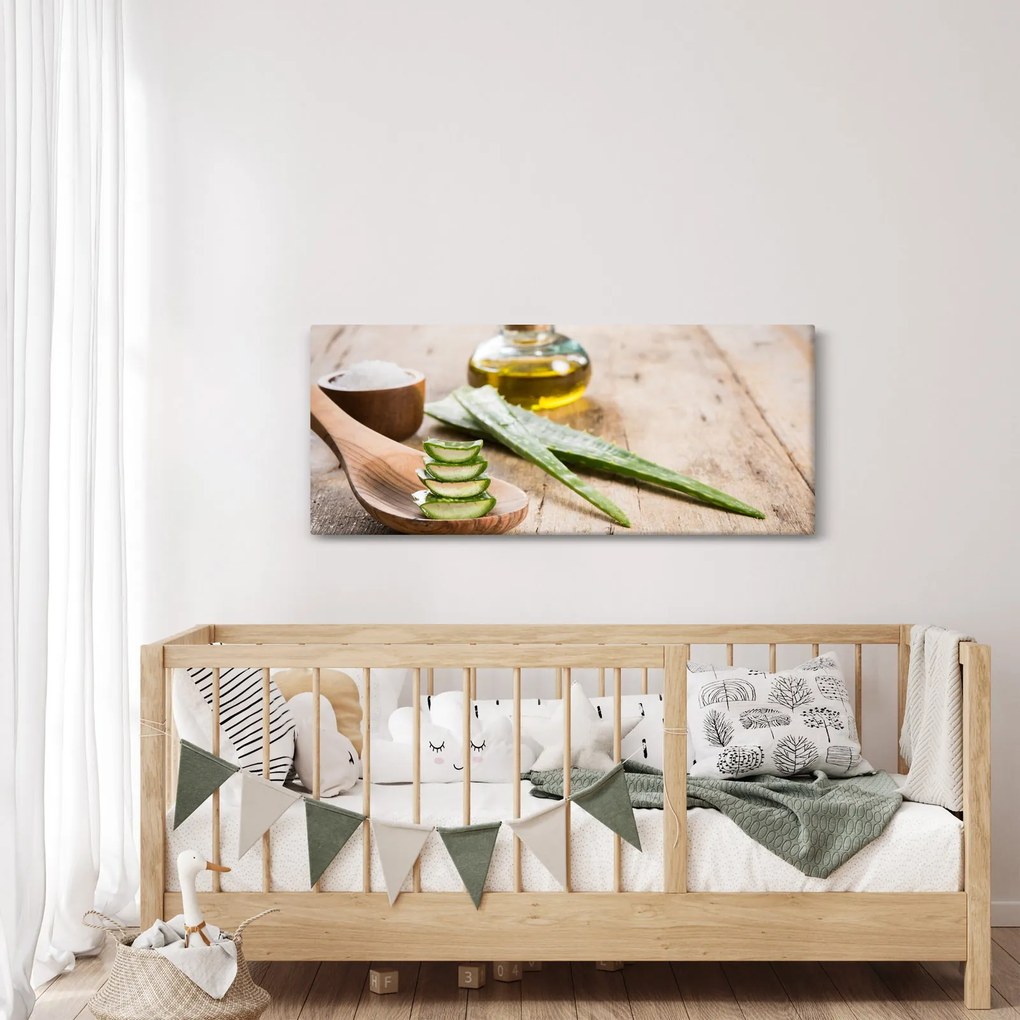 Obraz - Aloe vera (120x50 cm)