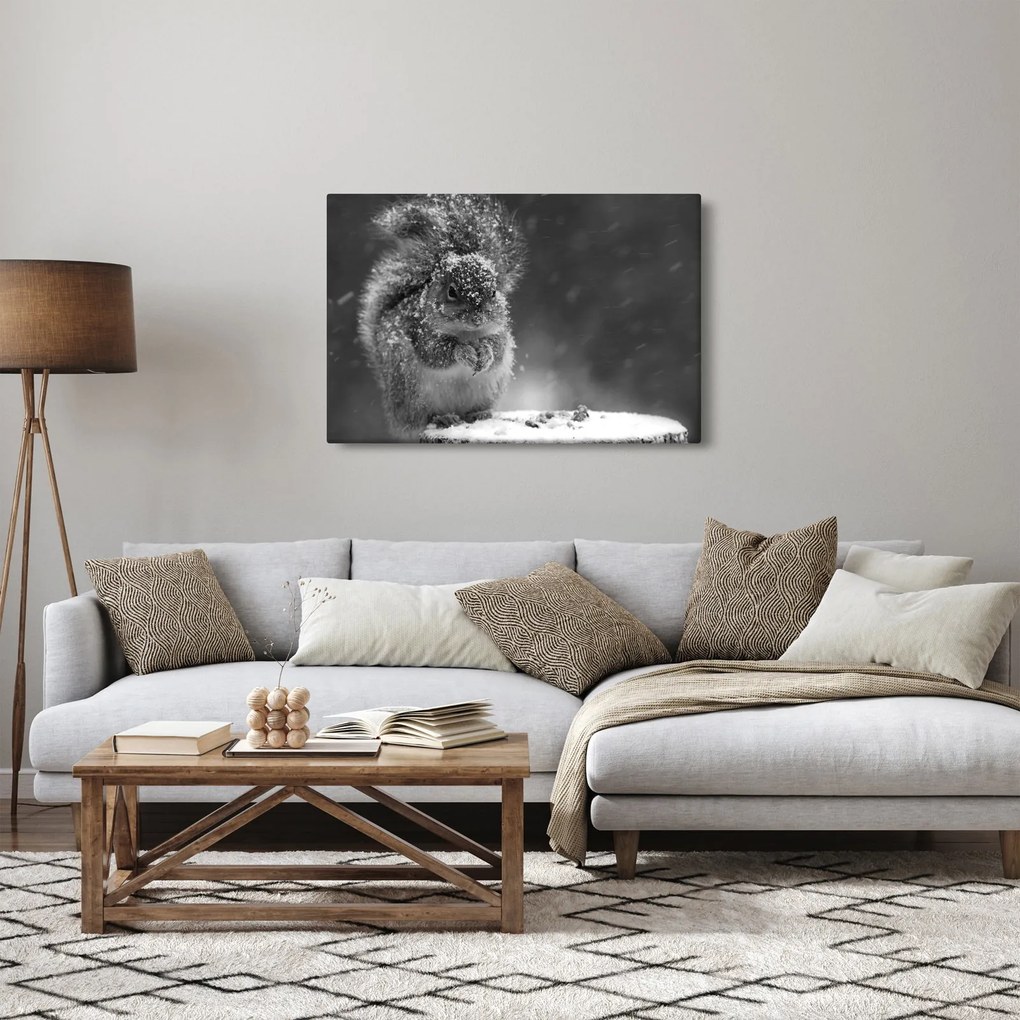 Obraz - Veverička v zime (90x60 cm)