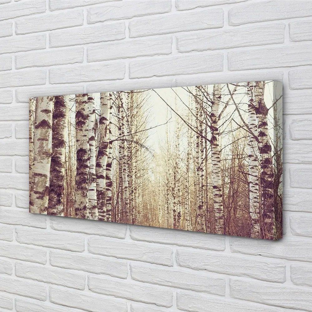 Obraz canvas stromy 140x70 cm