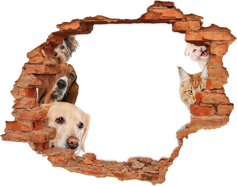 Diera 3D fototapeta na stenu Psy a mačky WallHole-cegla-90x70-104206550