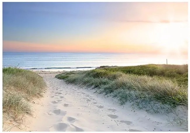 Fototapeta - Morning walk on the beach Veľkosť: 98x70, Verzia: Samolepiaca