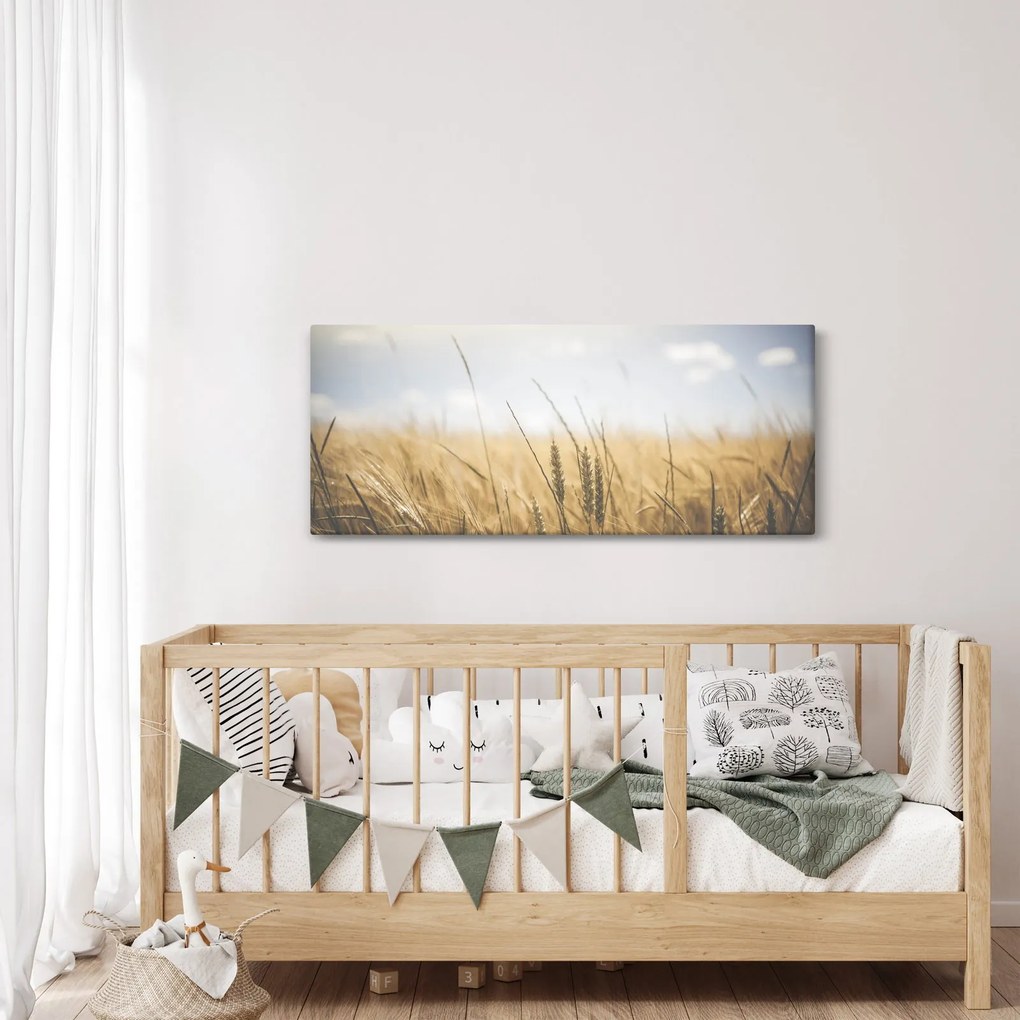 Obraz obilia (120x50 cm)