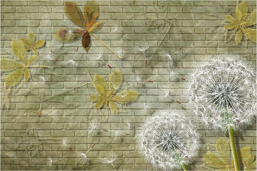 Obraz - Púpavy unášané vetrom (90x60 cm)
