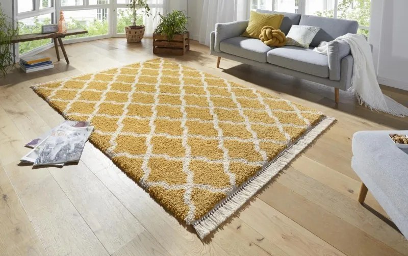 Mint Rugs - Hanse Home koberce AKCIA: 80x200 cm Kusový koberec Desiré 103325 Gold Creme - 80x200 cm
