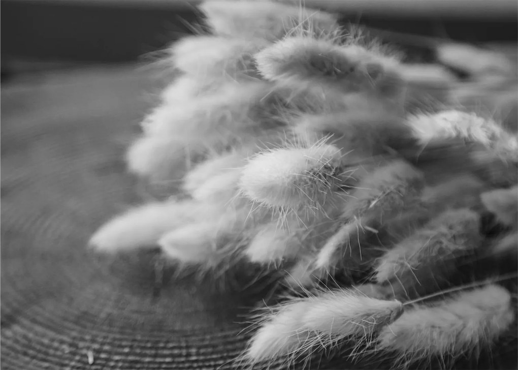 Sklenený obraz - bunny tail grass na stole (70x50 cm)