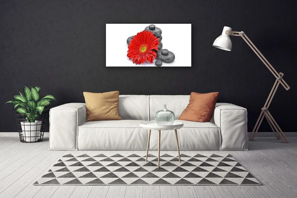Obraz Canvas Kvety gerbery kamene zen 140x70 cm