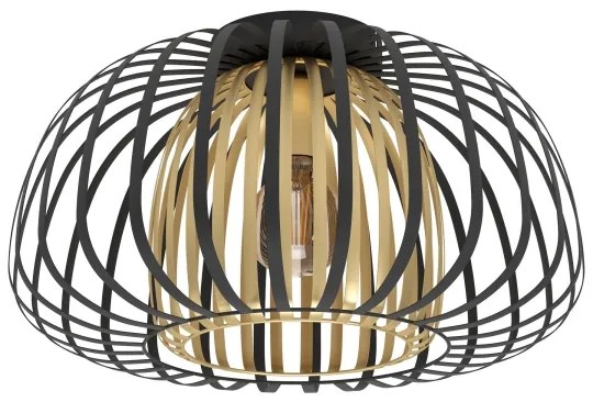 Eglo 99664 - Stropné svietidlo ENCINITOS 1xE27/40W/230V