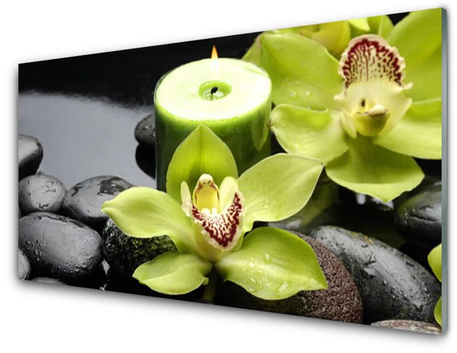 Sklenený obklad Do kuchyne Kvet kamene rastlina 140x70 cm