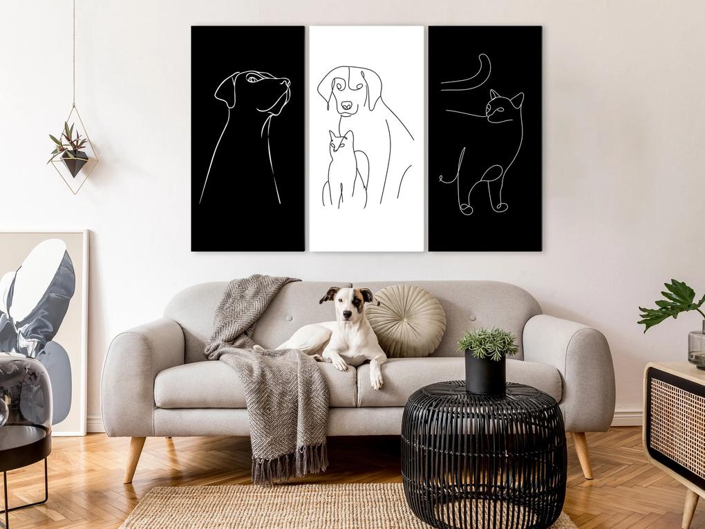 Artgeist Obraz - Domestic Animals (3 Parts) Veľkosť: 90x60, Verzia: Premium Print