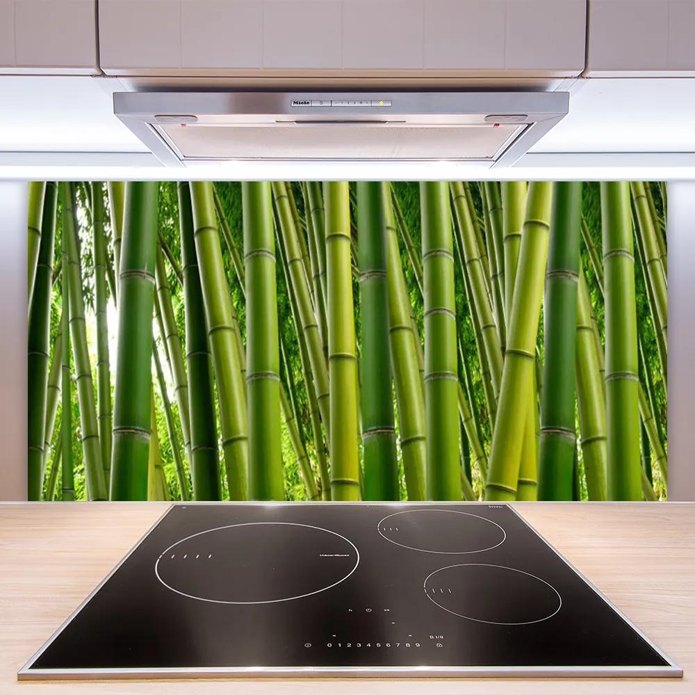 Sklenený obklad Do kuchyne Bambusový les bambusové výhonky 140x70 cm
