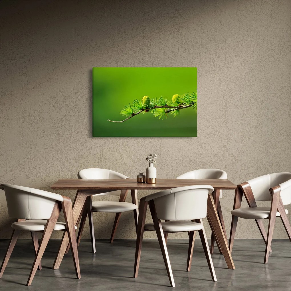 Obraz zelenej šišky (90x60 cm)