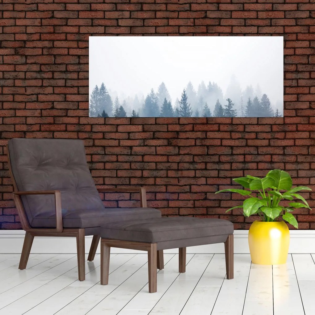 Obraz - Zahmlený les (120x50 cm)