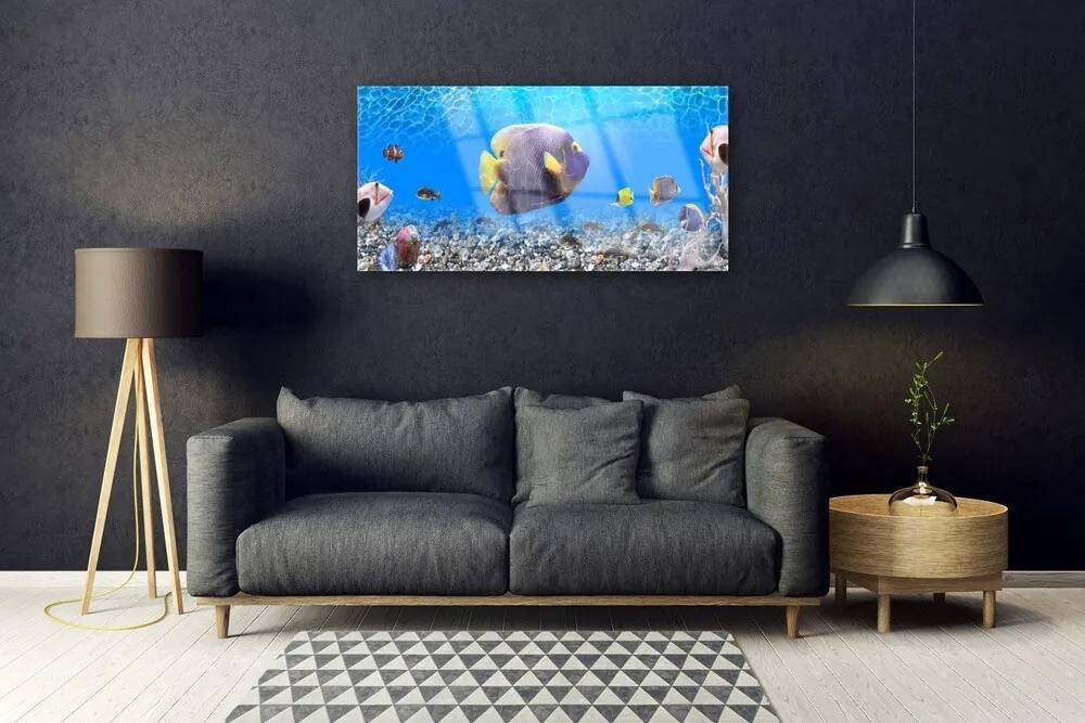 Obraz na skle Ryba príroda 100x50 cm