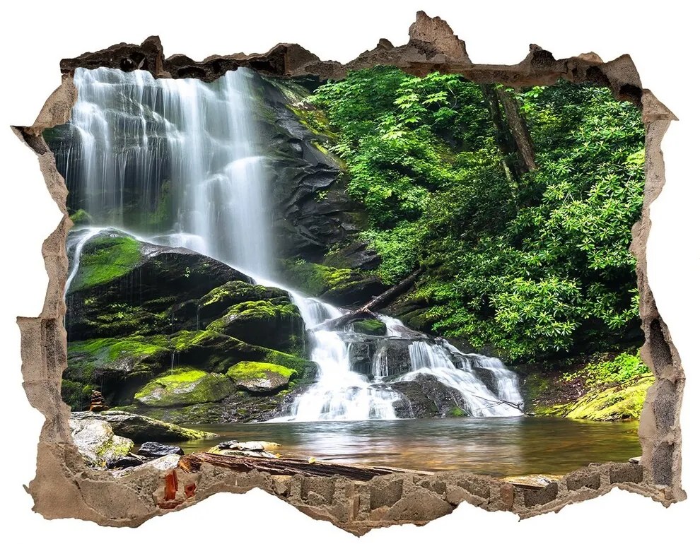 Nálepka fototapeta 3D výhled Vodopád v lese nd-k-65742204