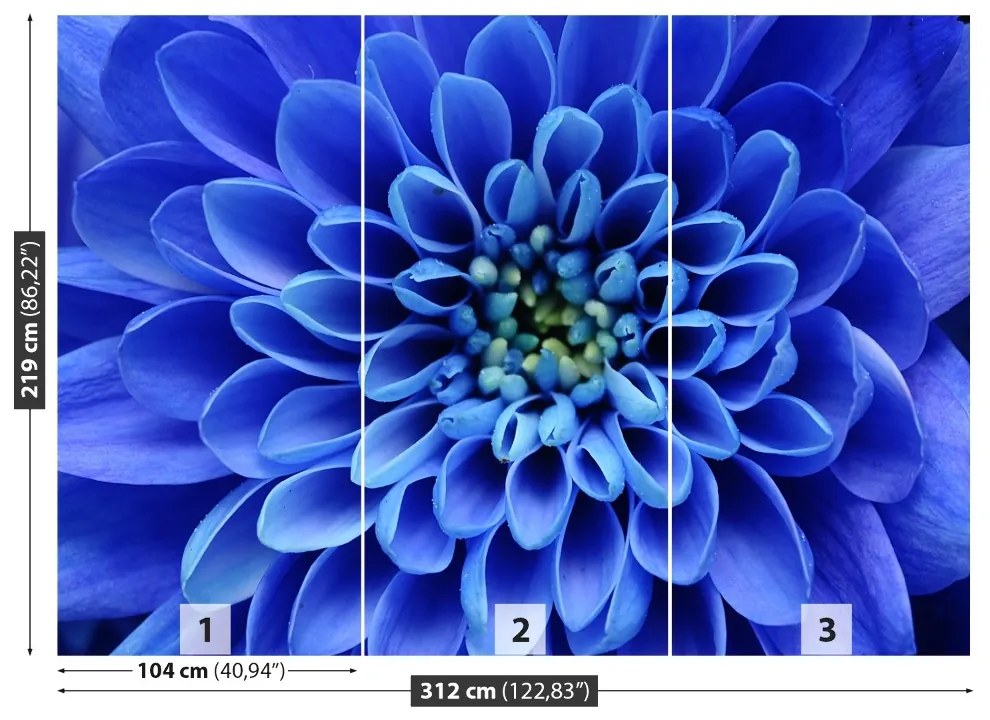 Fototapeta Vliesová Modrý kvet 208x146 cm