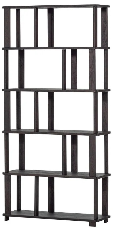 Tmavohnedá knižnica z dubového dreva 90x186x30 cm Riss – WOOOD