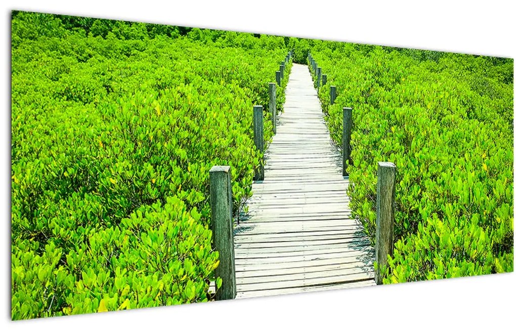 Obraz - drevený chodník (120x50 cm)