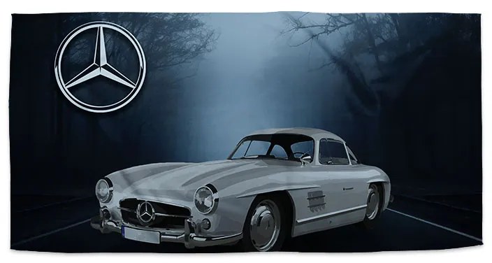 Sablio Uterák Mercedes-Benz 300 SL V lese - 30x50 cm
